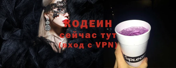 молекула духа Снежногорск