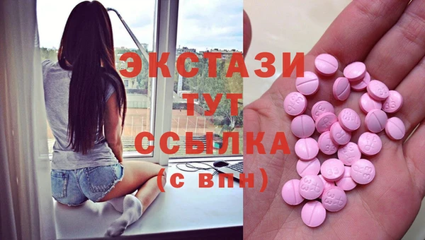 молекула духа Снежногорск