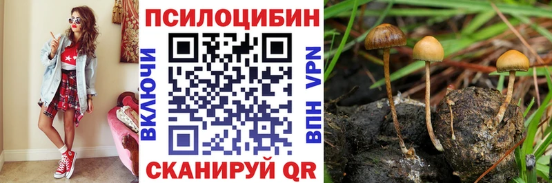 продажа наркотиков  Камызяк  Псилоцибиновые грибы мицелий 